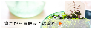 査定から買取までの流れ