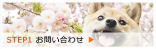 STEP１ お問い合わせ
